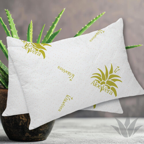 Pernă aloe vera